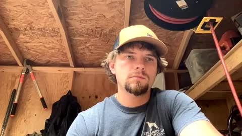 treeman817 online show from June 11, 11:14 pm