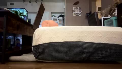 trickydick6 online show from February 23, 7:11 pm