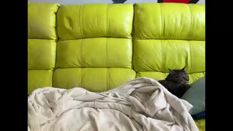 Ramiro online show from April 3, 11:41 am