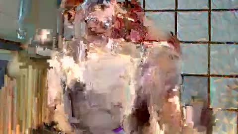 trixie_foxslut online show from February 12, 11:05 am