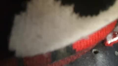 Snapshot of trobelle chatting on December 26, 1:43 pm trobelle online show from December 26, 1:43 pm