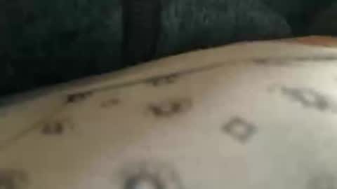 Snapshot of trobelle chatting on November 25, 10:37 am trobelle online show from November 25, 10:37 am