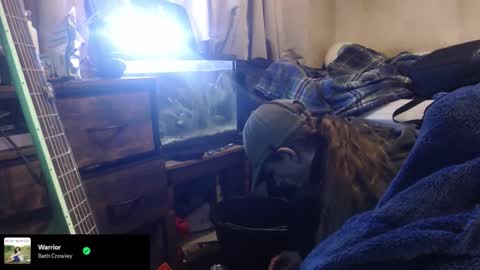 trooper0690 online show from February 12, 6:14 pm