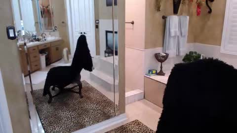 Snapshot of trophywifey chatting on February 19, 8:21 am Trophy Wifey iframe src height528 width850 s online show from February 19, 8:21 am