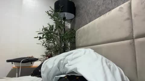 Snapshot of ts_danielahugecock_xxx chatting on February 2, 5:17 am ts_danielahugecock_xxx online show from February 2, 5:17 am