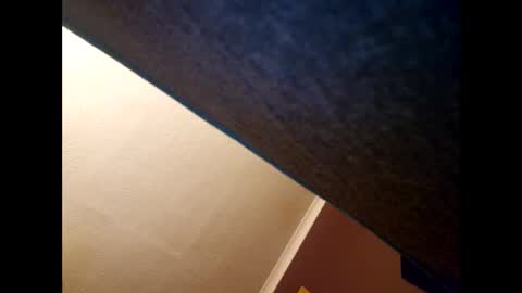 Snapshot of ts_kara_violet chatting on March 22, 4:38 am Kara Violet online show from March 22, 4:38 am