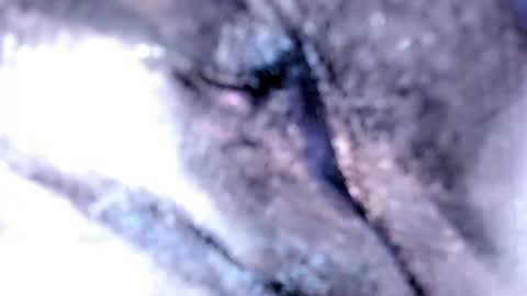 Snapshot of tshotfuckingyanzxx chatting on February 12, 3:18 am Stella Hanlon - - online show from February 12, 3:18 am