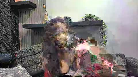 Lexi Longg online show from March 3, 2:01 pm