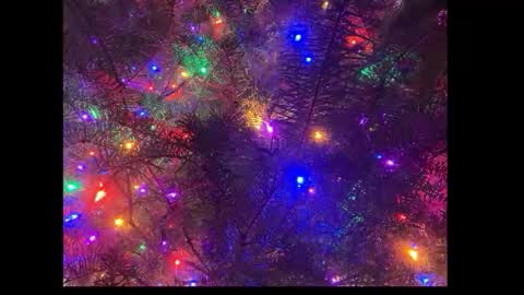 tttww33 online show from December 1, 6:24 pm