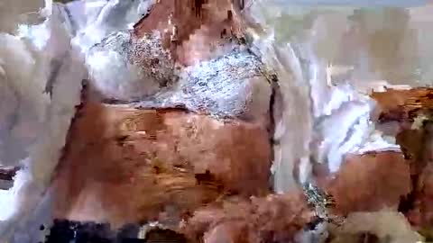 FINN but call me NANNA online show from September 9, 12:59 pm