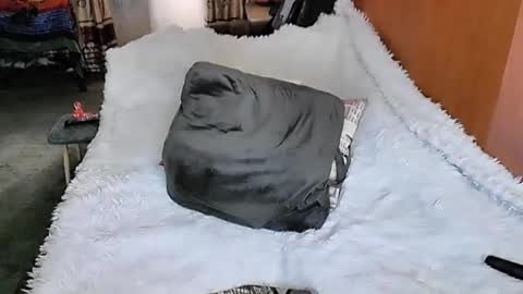 Lana online show from March 11, 1:37 am