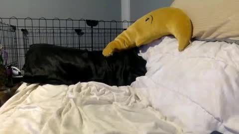 Snapshot of twinkybell chatting on October 27, 4:27 am twinkybell online show from October 27, 4:27 am