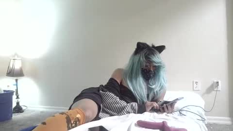 Snapshot of twinkyteddy chatting on October 6, 12:19 am twinkyteddy online show from October 6, 12:19 am
