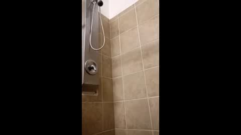 Snapshot of twp123 chatting on January 12, 2:17 am Matt online show from January 12, 2:17 am