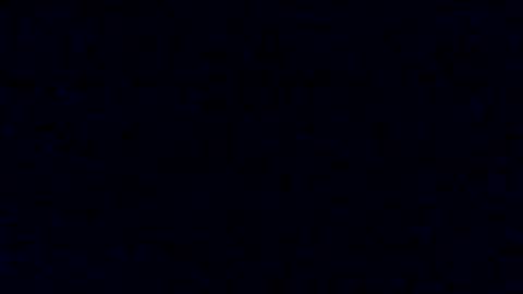 Snapshot of tyforsharing chatting on January 17, 7:51 am Tyler Chen online show from January 17, 7:51 am