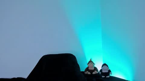 Tyler online show from February 12, 1:00 am