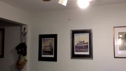 Snapshot of tylerdurden256 chatting on February 14, 2:07 am Tyler Durden online show from February 14, 2:07 am