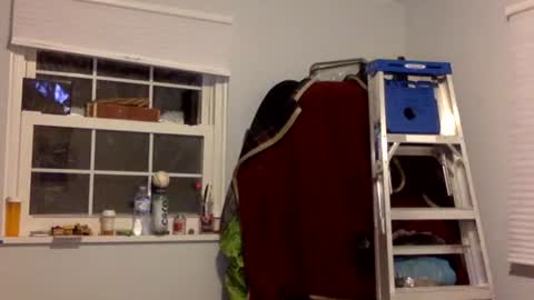 Snapshot of tylerdurden256 chatting on February 17, 7:15 am Tyler Durden online show from February 17, 7:15 am