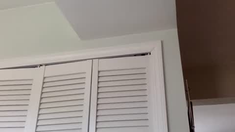 Snapshot of tylerdurden256 chatting on March 1, 3:38 pm Tyler Durden online show from March 1, 3:38 pm