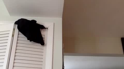 Snapshot of tylerdurden256 chatting on March 2, 1:38 pm Tyler Durden online show from March 2, 1:38 pm