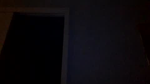 Snapshot of tylerdurden256 chatting on March 4, 12:29 am Tyler Durden online show from March 4, 12:29 am