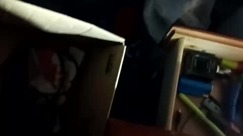 Snapshot of tylershroyer7 chatting on October 28, 3:14 pm Dudeman online show from October 28, 3:14 pm