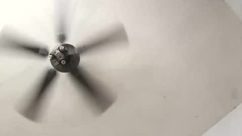 Aldo rasid online show from October 19, 5:35 pm