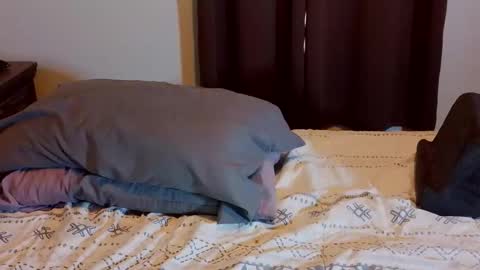 Blue Eyed Handsome Man online show from February 1, 8:29 pm