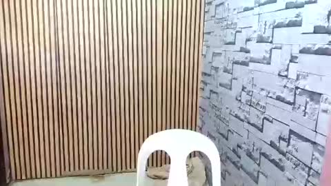 ur_asian_wife6969 online show from March 18, 5:21 am