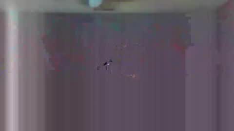 Snapshot of urls2025 chatting on November 23, 4:34 am urls2025 online show from November 23, 4:34 am