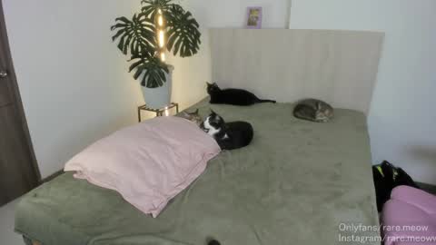 Snapshot of uryko_yor chatting on April 24, 10:56 pm online show from April 24, 10:56 pm