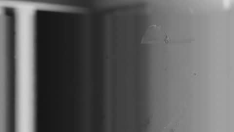 Snapshot of user2f chatting on December 4, 10:57 am steve online show from December 4, 10:57 am