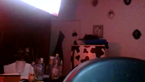 user_of_existance online show from April 3, 7:17 am