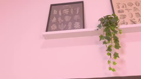 VALENTINA online show from March 29, 11:54 am