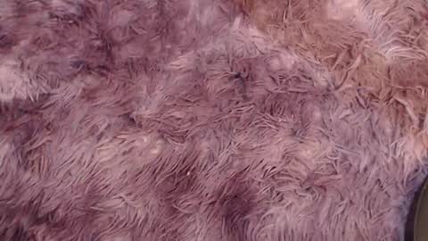 valery carter01 online show from February 3, 2:53 am