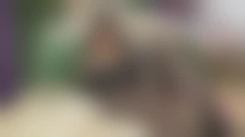 Snapshot of vanessajos chatting on September 25, 6:06 am Vanessa online show from September 25, 6:06 am