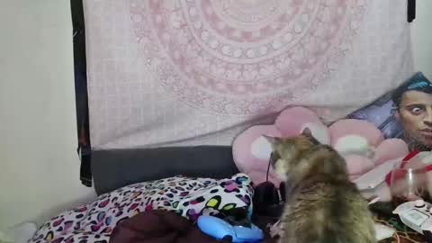 Snapshot of veelehanex3 chatting on December 10, 7:05 am Veronica Lehane online show from December 10, 7:05 am