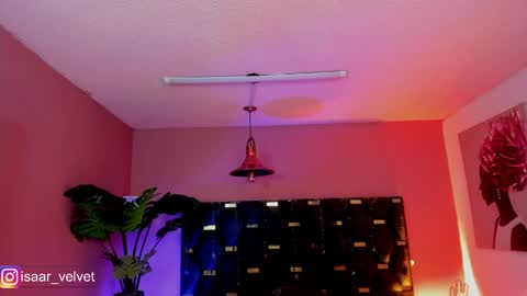 Snapshot of velvet_dreams_ chatting on April 9, 11:26 am Isabella online show from April 9, 11:26 am
