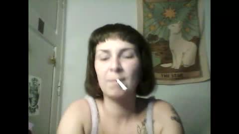 Snapshot of velvetdunya11 chatting on October 13, 11:38 pm velvetdunya11 online show from October 13, 11:38 pm