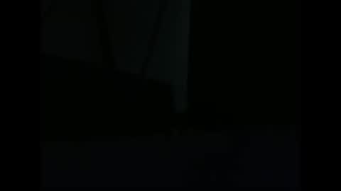 Snapshot of vendi1 chatting on December 28, 9:52 am vendi1 online show from December 28, 9:52 am