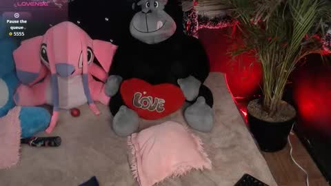 eva online show from January 11, 12:26 am