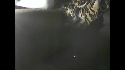 Snapshot of verdogan chatting on December 20, 2:52 am Im DanielVerdo 25 years old Lets have Fun and just ask what wanne know tnew anal bigock cum slave fullnaked online show from December 20, 2:52 am