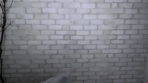 Ana online show from December 30, 1:36 pm