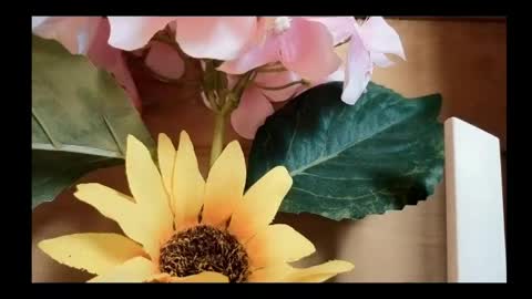 vickyvalencia2 online show from May 4, 2:02 pm