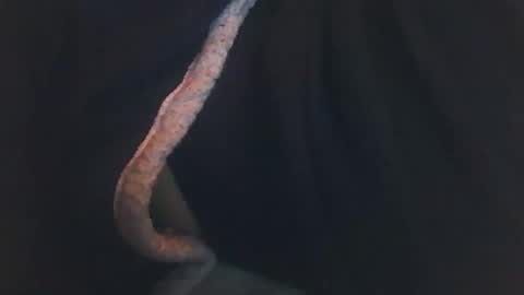 vicvictoree online show from December 14, 2:06 am