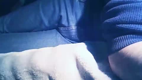 vicvictoree online show from February 1, 7:01 pm