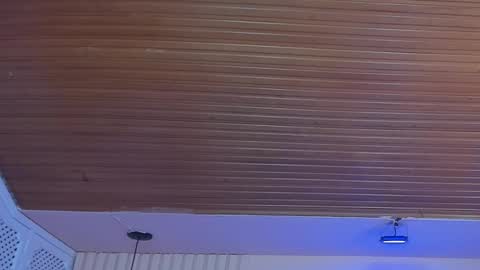 Snapshot of viiolett_lee chatting on October 1, 8:26 pm Viiolett online show from October 1, 8:26 pm