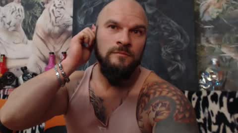 viking online show from December 1, 8:09 pm