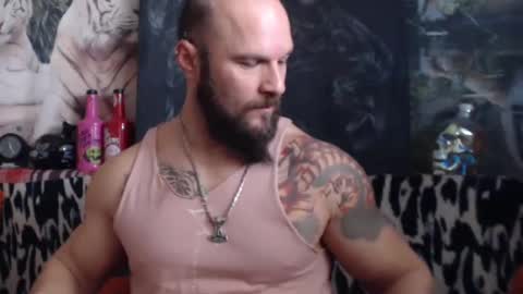 viking online show from December 15, 8:41 am