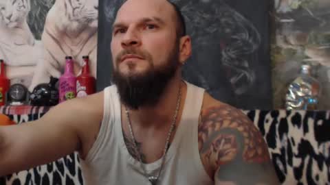 viking online show from December 24, 8:49 pm